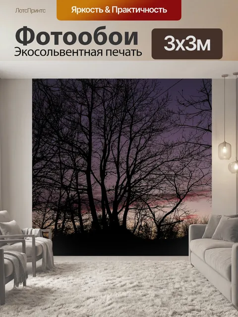 Фотообои Деревья
