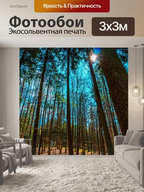 Фотообои Деревья
