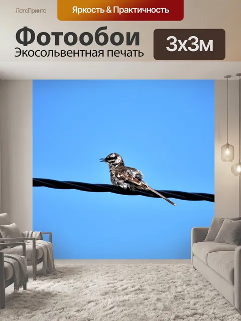 Фотообои Птица