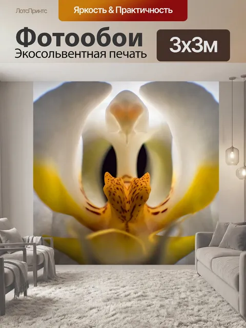 Фотообои Орхидея