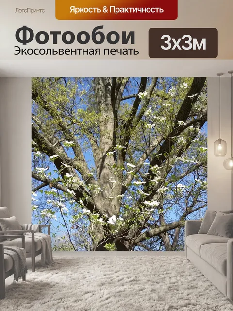 Фотообои Дерево