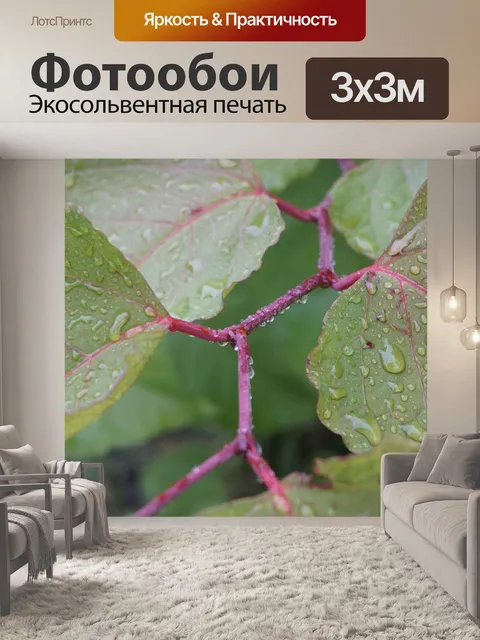 Фотообои Листья