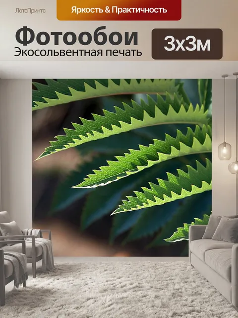 Фотообои Листья
