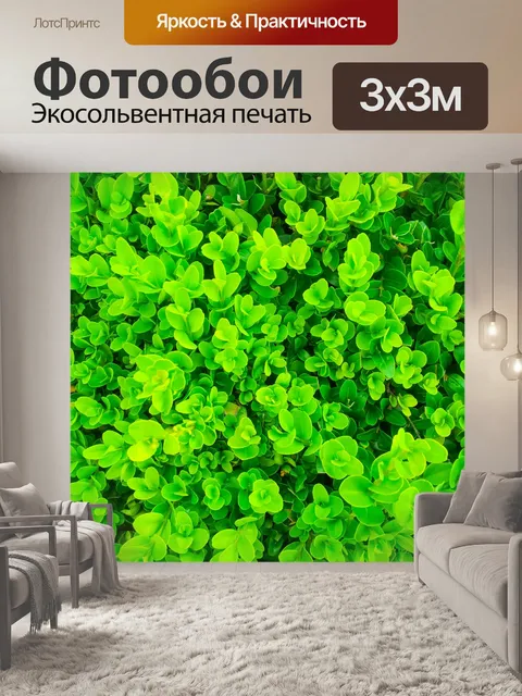 Фотообои Зеленые растения рисунок