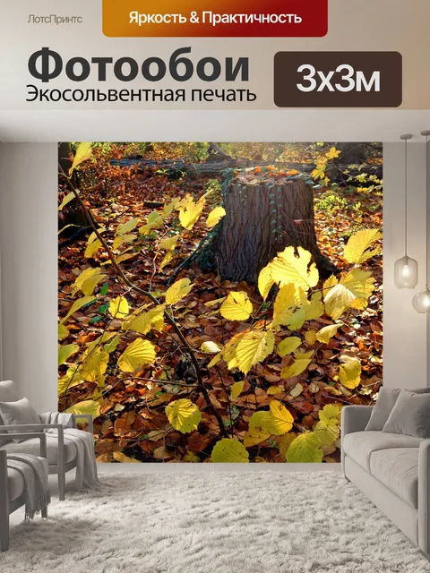 Фотообои Лес