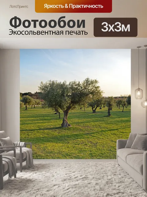 Фотообои Деревья