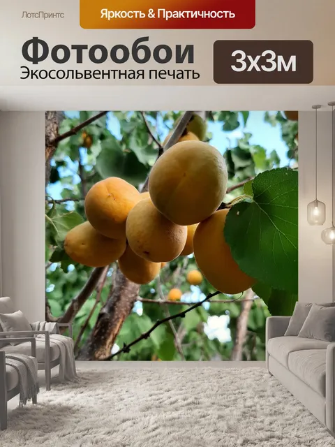 Фотообои Chabacanos