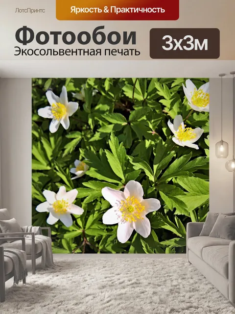 Фотообои Лесное растение