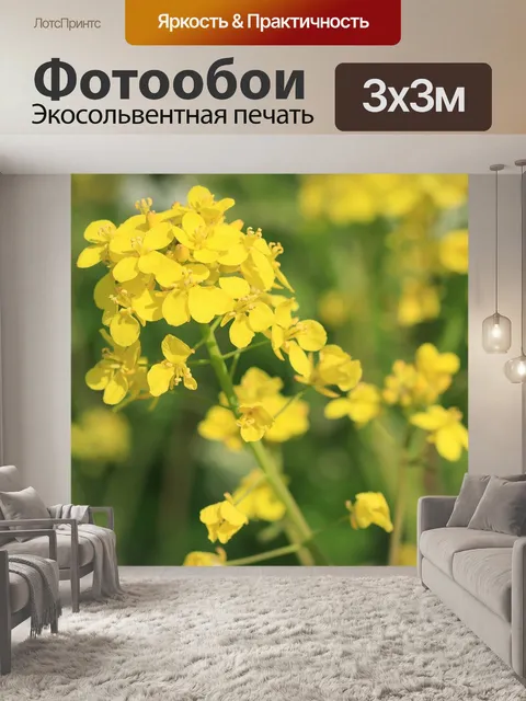 Фотообои Цветы