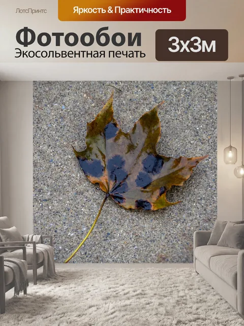 Фотообои Пятнистый кленовый лист