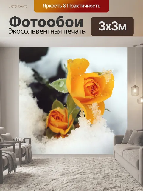 Фотообои Роза