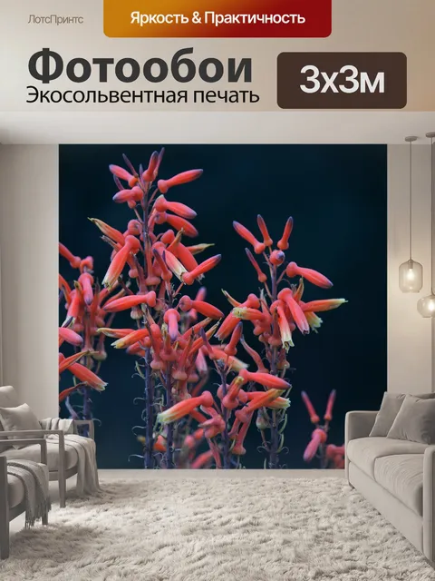 Фотообои цветение алоэ в парке