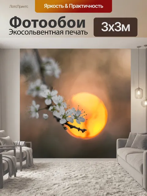 Фотообои Солнце