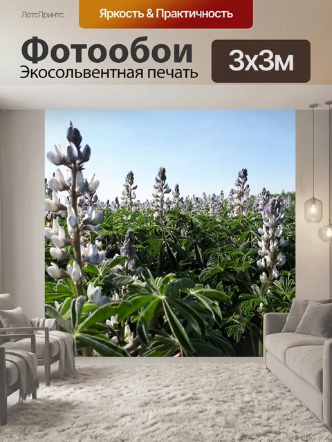Фотообои Цветы
