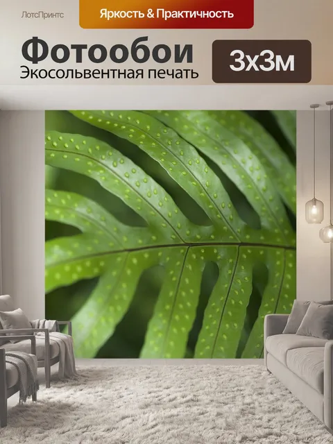 Фотообои Листья папоротника