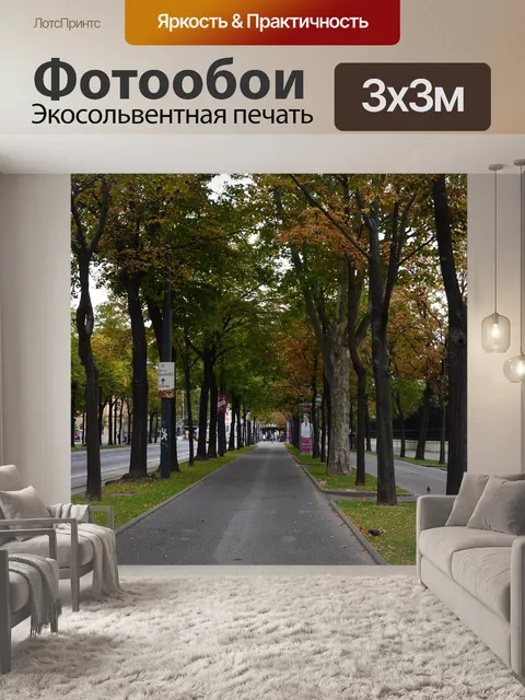 Фотообои Лес