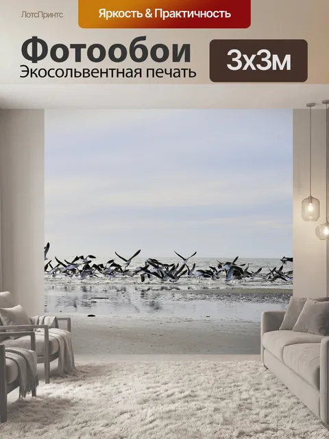 Фотообои Чайки