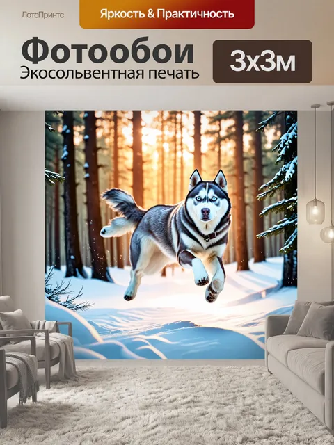 Фотообои Собака хаски, прыгающая в снежном зимнем лесу, солнечный свет пробивается через деревья, снег летит вокруг…
