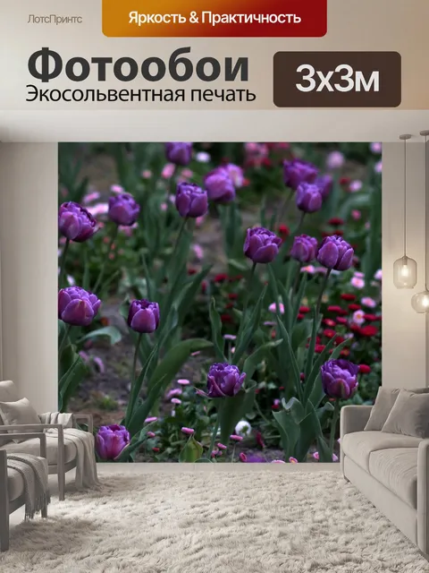 Фотообои Тюльпаны