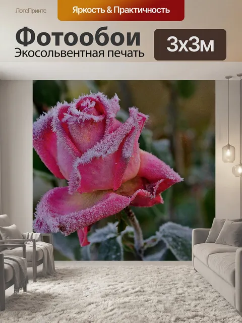 Фотообои Природа