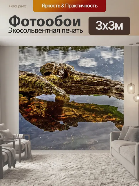 Фотообои Корень