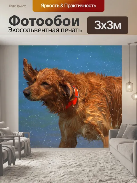 Фотообои Собаки