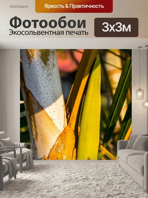 Фотообои Пальма