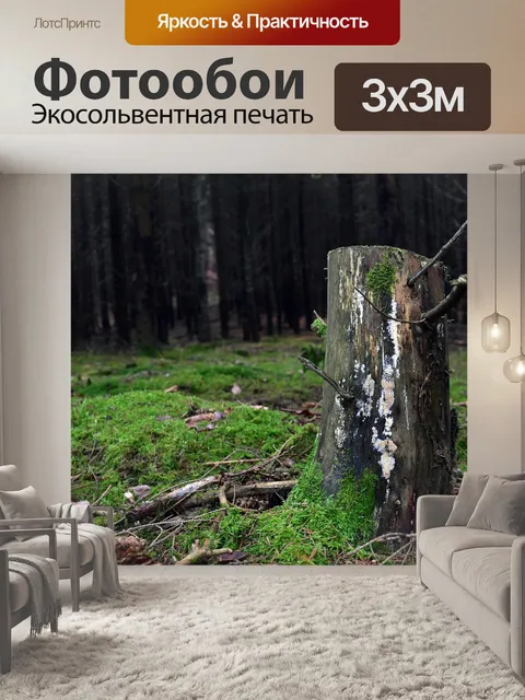 Фотообои Пень