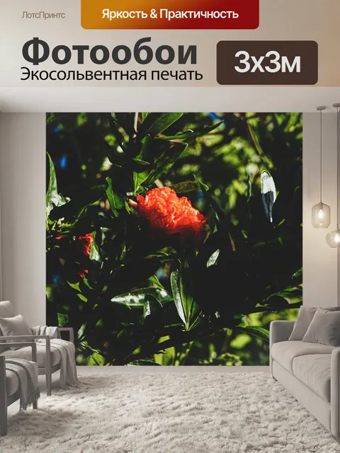 Фотообои Цветок