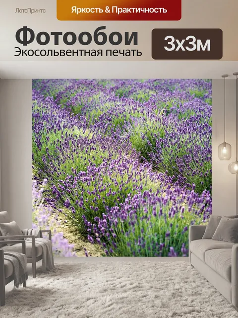 Фотообои Лаванда