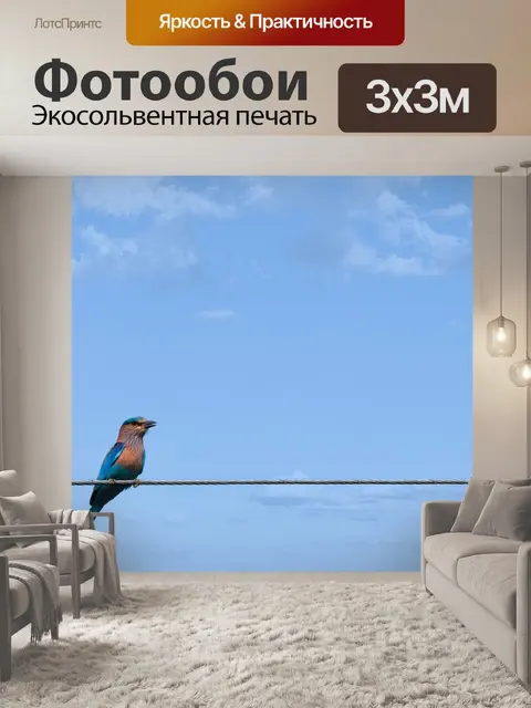 Фотообои Птица