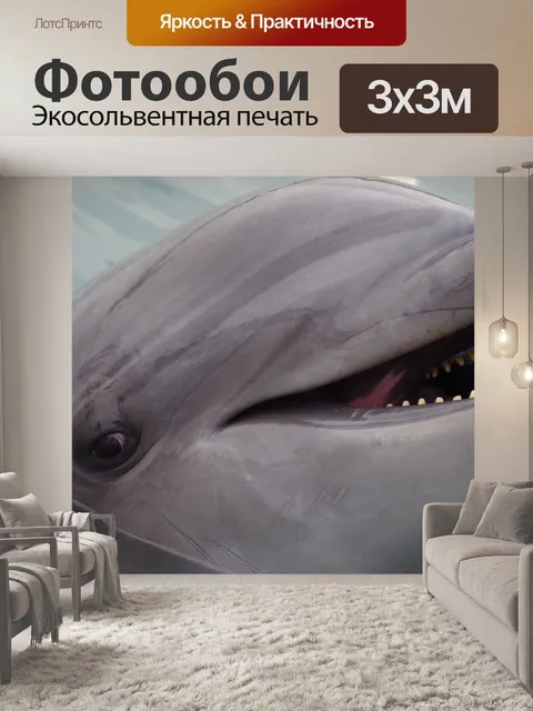 Фотообои Дельфин