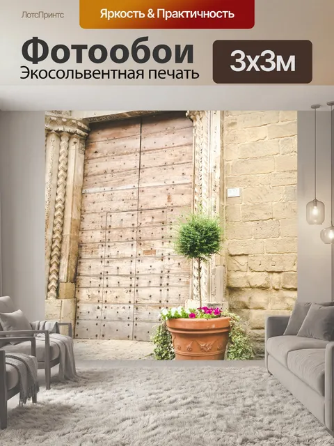 Фотообои Старая дверь