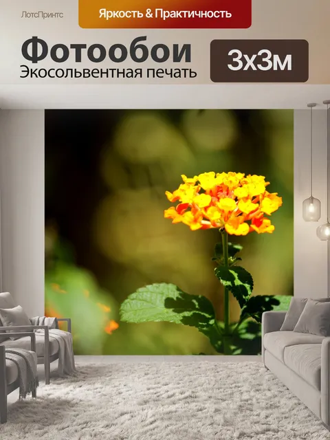 Фотообои золотой оранжевый цветок