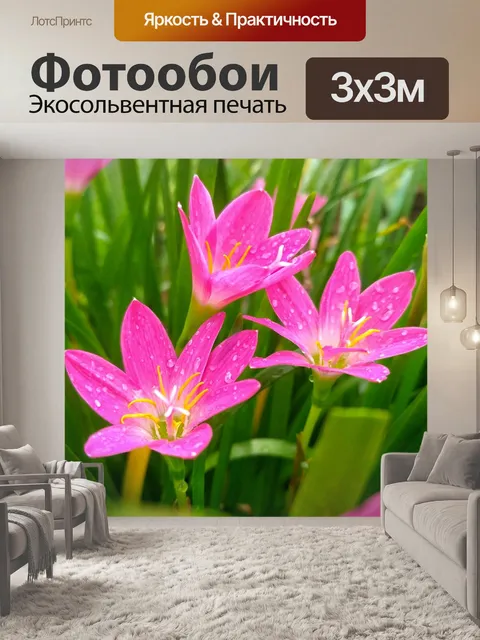 Фотообои Цветок