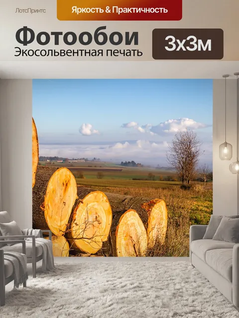 Фотообои Стволы деревьев