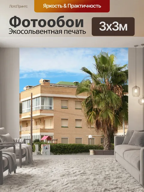 Фотообои Пальма