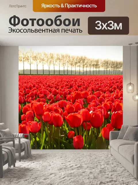 Фотообои Тюльпаны