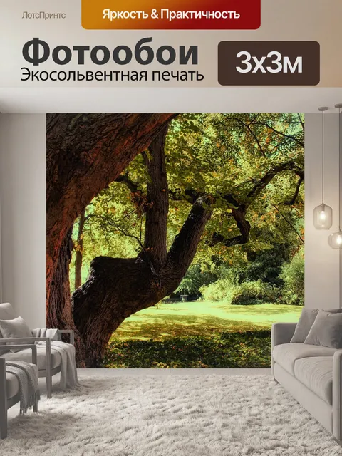 Фотообои Парк