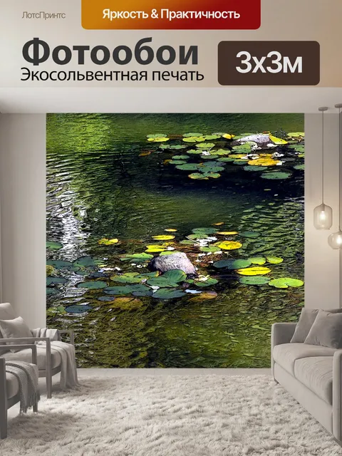 Фотообои Пруд Листья