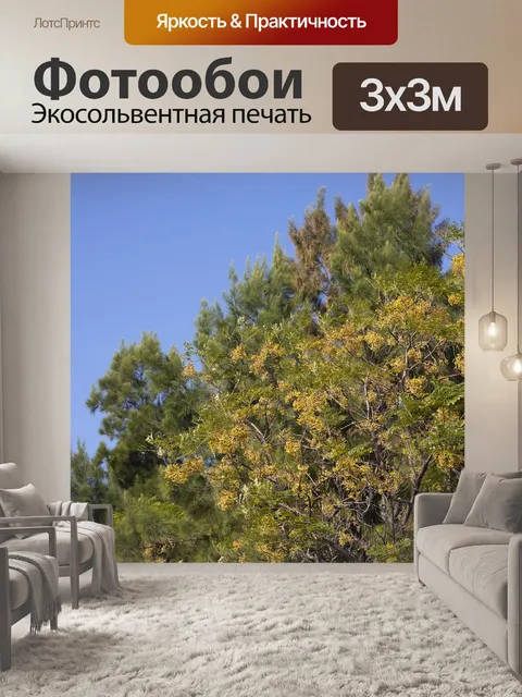 Фотообои Дерево