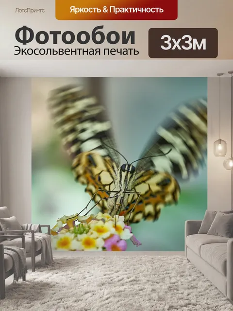 Фотообои Бабочка