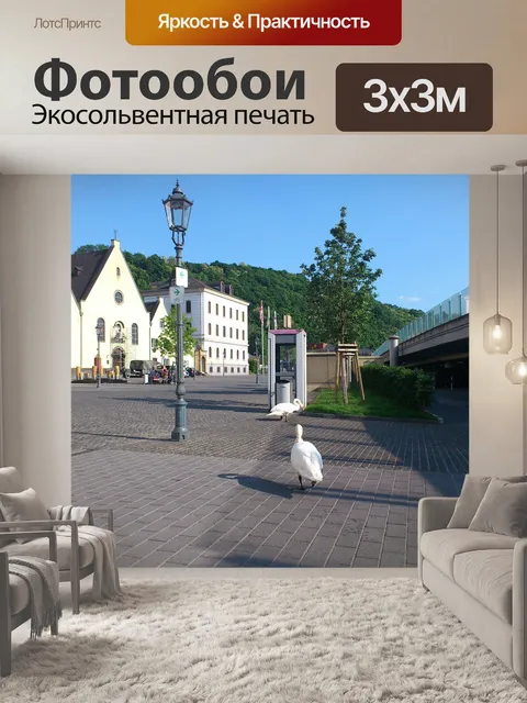 Фотообои Лебеди
