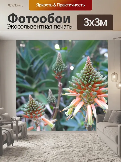 Фотообои Цветы
