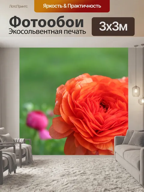 Фотообои Цветы
