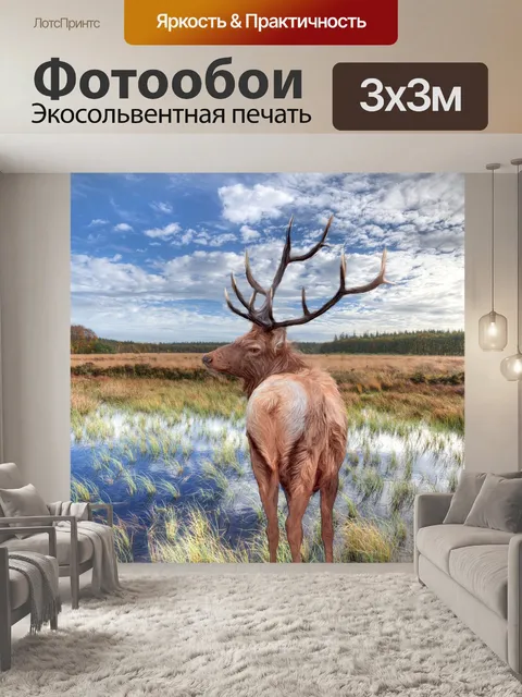 Фотообои Мокрый