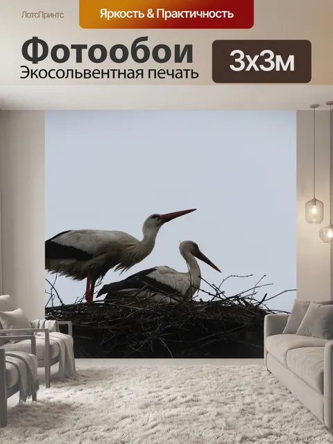 Фотообои Аисты