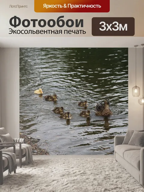 Фотообои Птицы