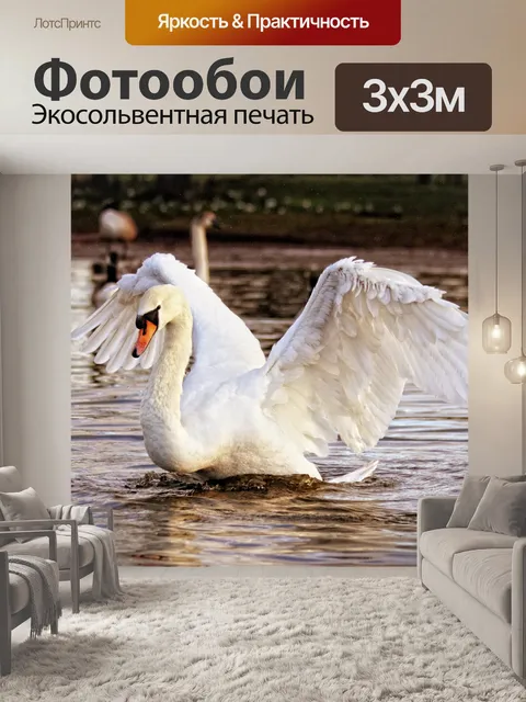 Фотообои Лебединое отображение крыльев