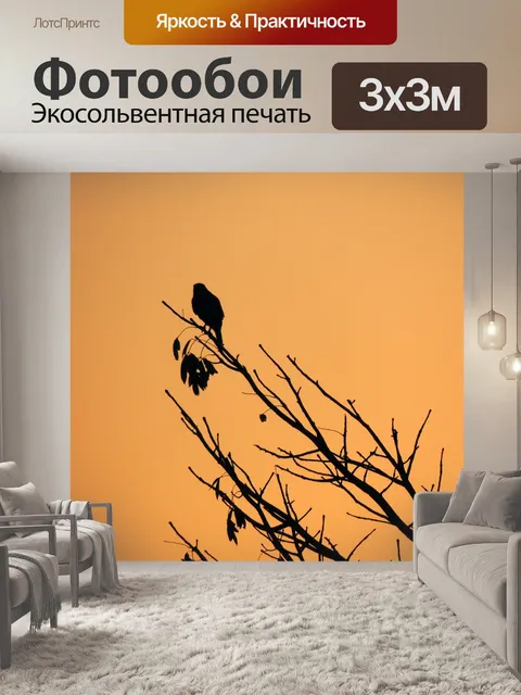 Фотообои Птица